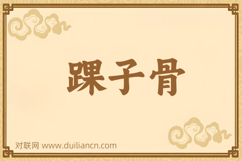踝子骨词语的意思