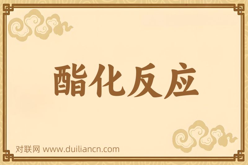 酯化反应词语的意思