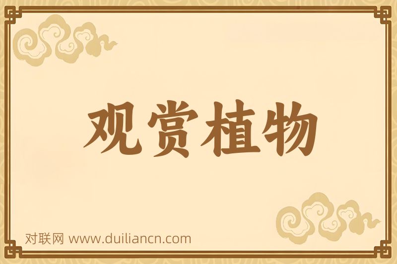 观赏植物词语的意思