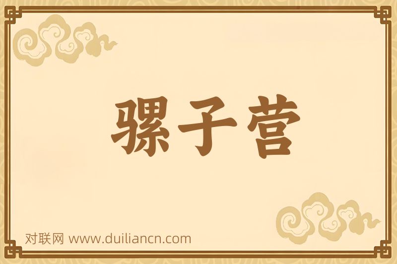 骡子营词语的意思