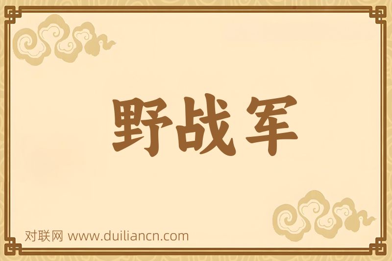 野战军词语的意思