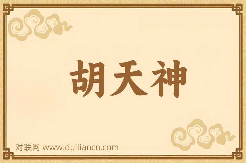 胡天神词语的意思