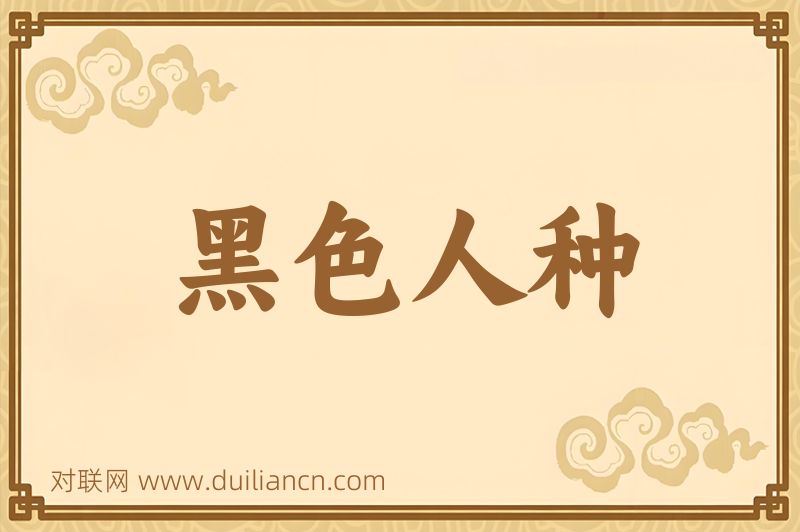 黑色人种词语的意思