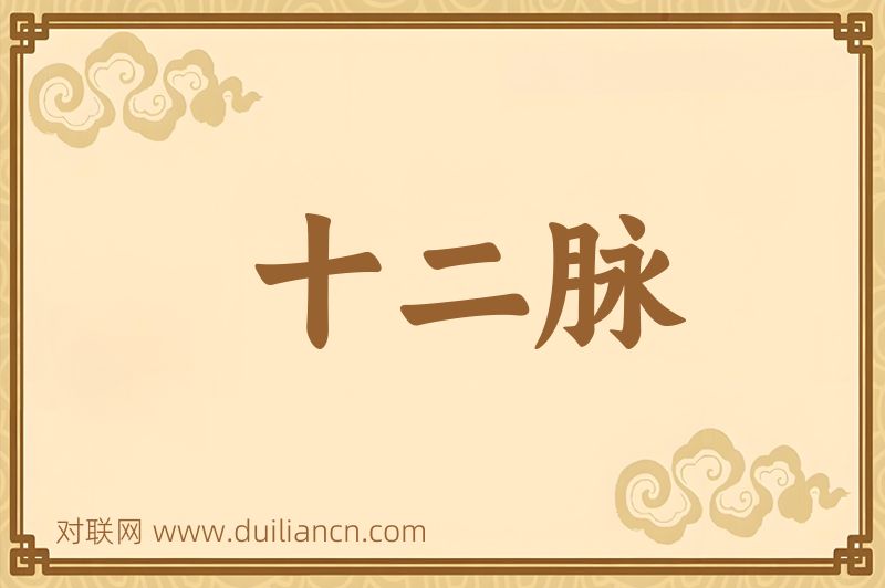 十二脉词语的意思