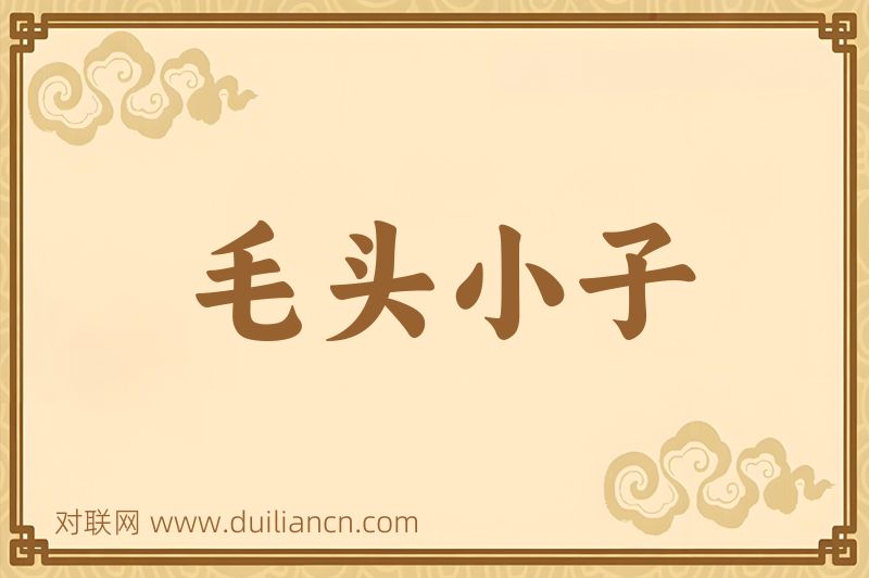 毛头小子词语的意思