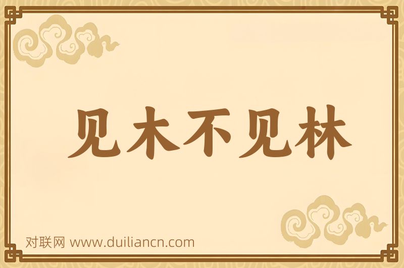 见木不见林词语的意思