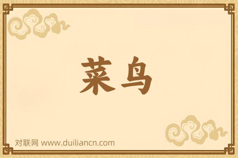 菜鸟词语的意思