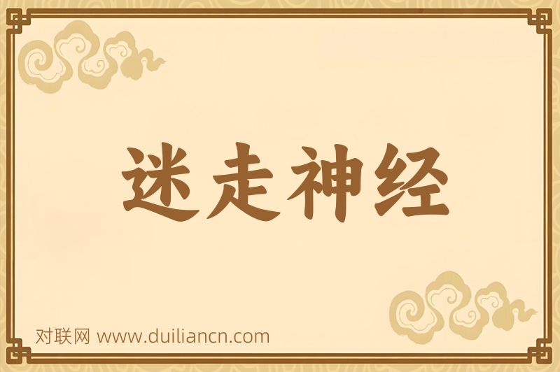 迷走神经词语的意思