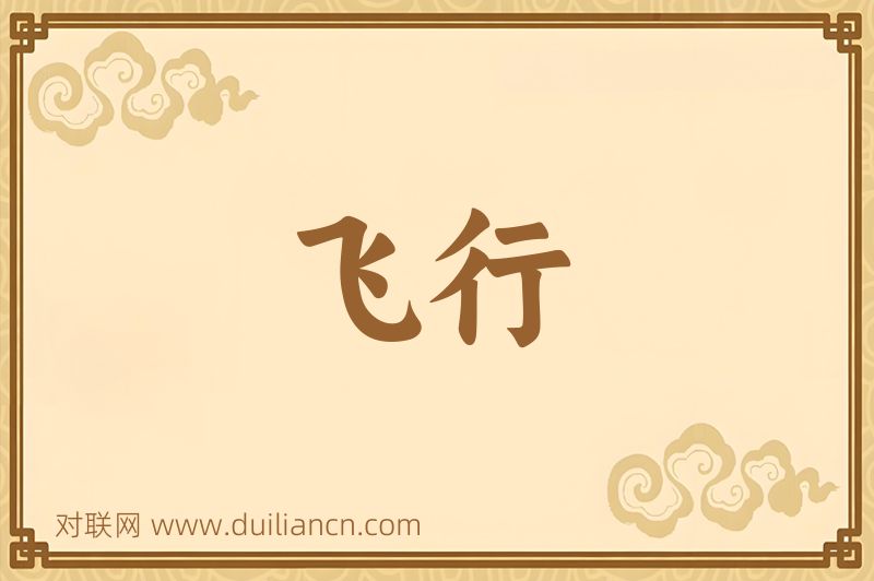 飞行词语的意思
