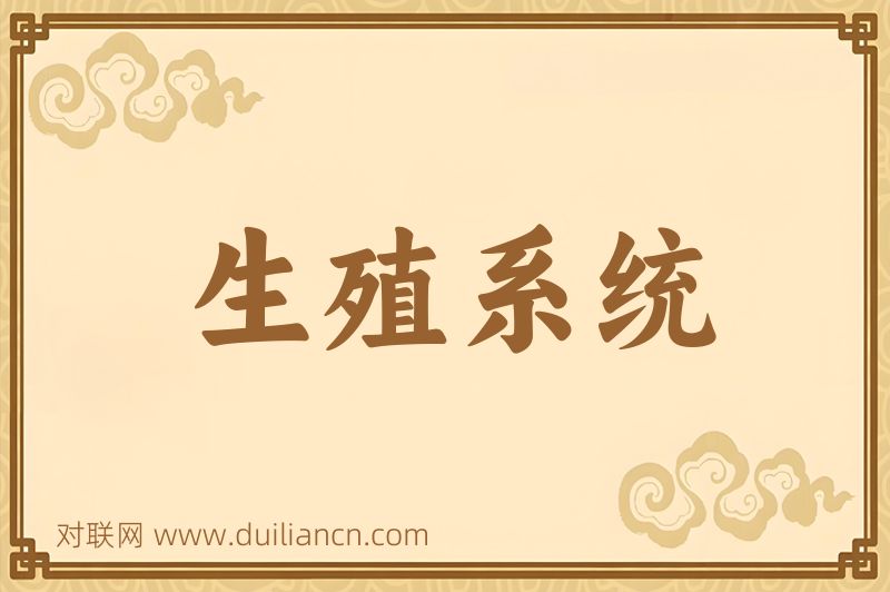 生殖系统词语的意思