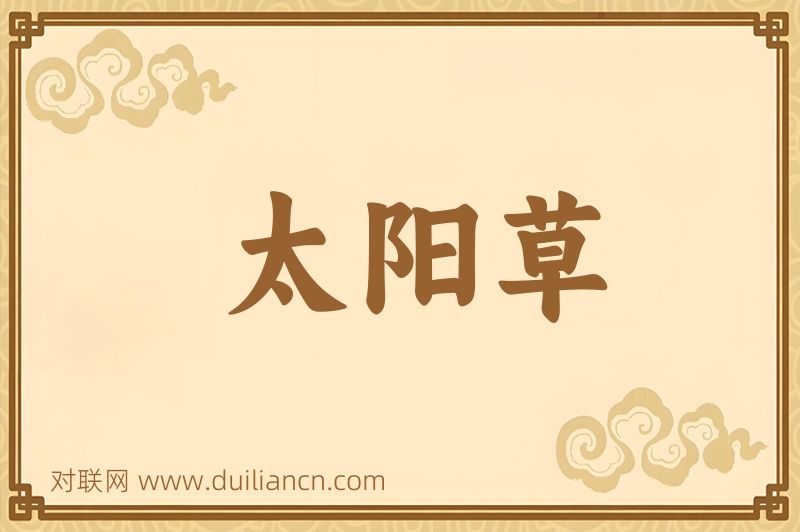 太阳草词语的意思