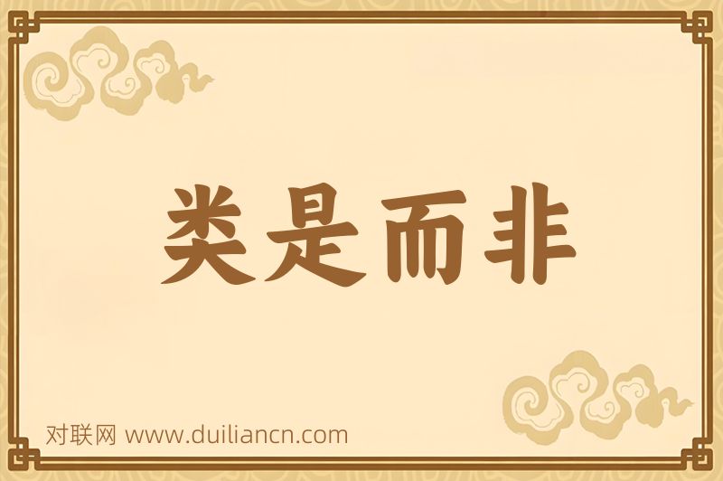 类是而非词语的意思