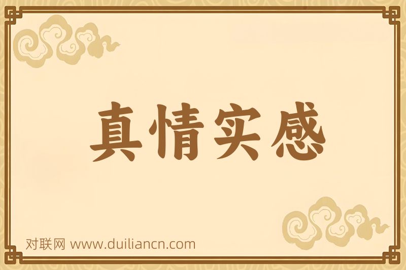 真情实感词语的意思