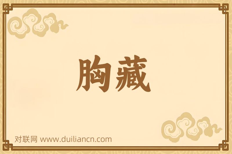 胸藏词语的意思