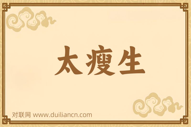 太瘦生词语的意思