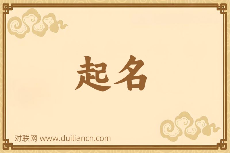 起名词语的意思