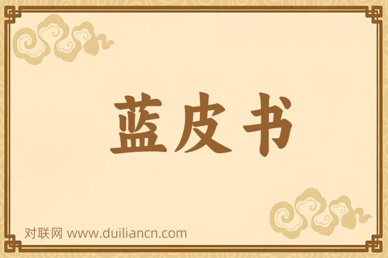 蓝皮书词语的意思