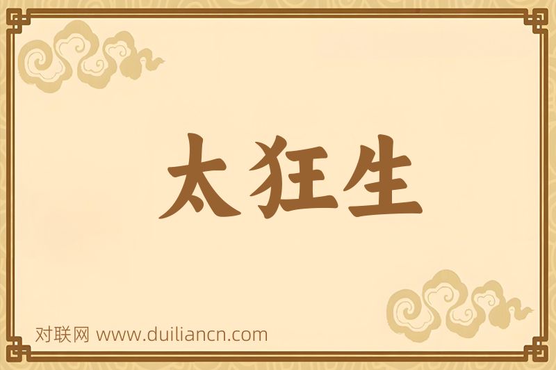 太狂生词语的意思