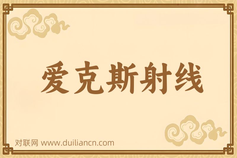 爱克斯射线词语的意思