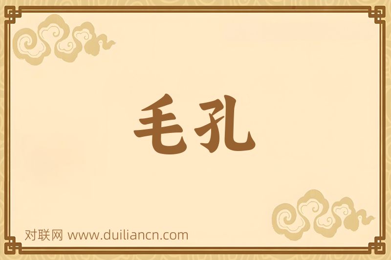 毛孔词语的意思