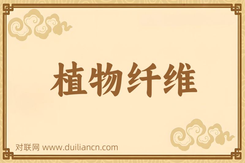 植物纤维词语的意思