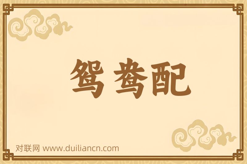 鸳鸯配词语的意思