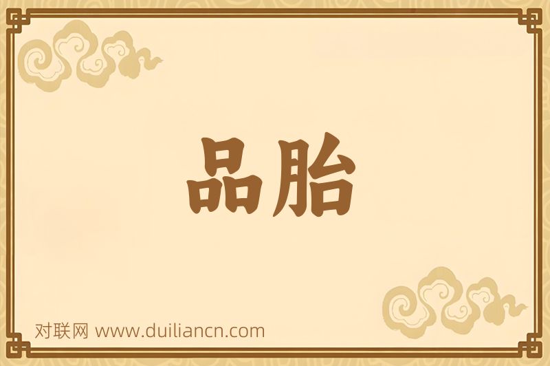 品胎词语的意思