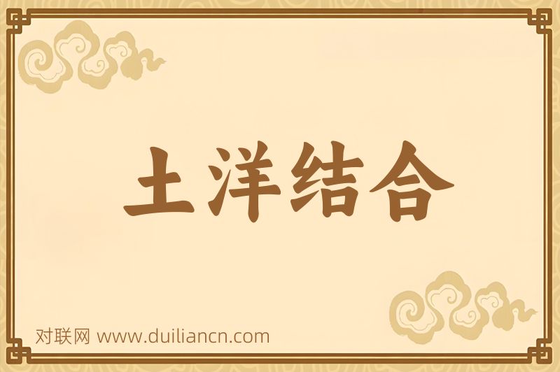 土洋结合词语的意思
