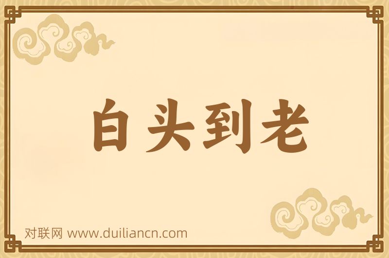 白头到老词语的意思