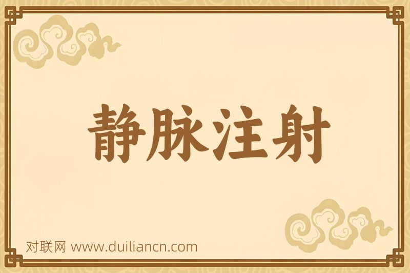 静脉注射词语的意思