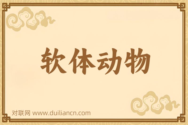 软体动物词语的意思