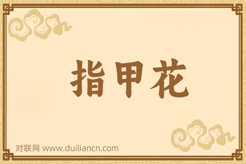 指甲花词语的意思