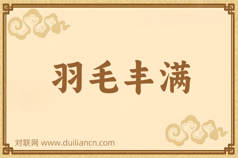 羽毛丰满词语的意思