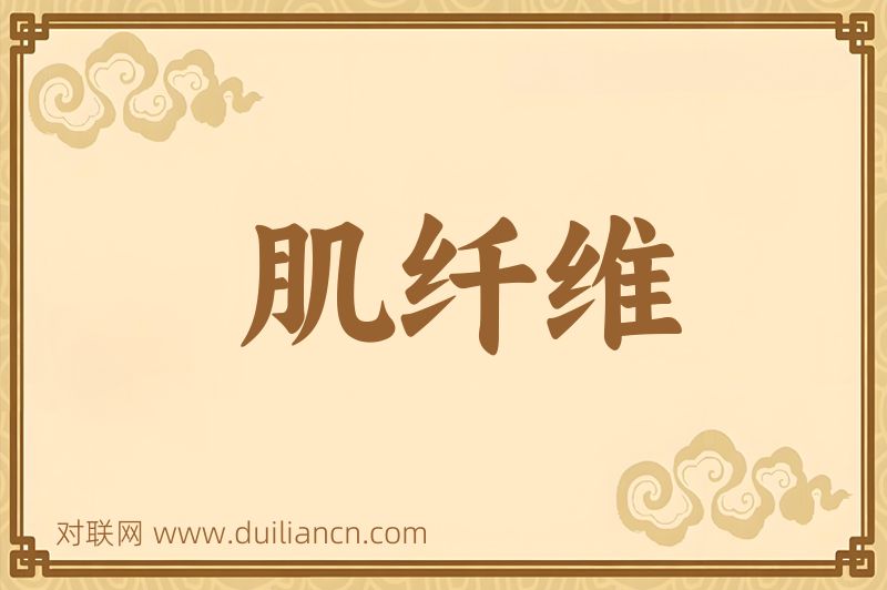 肌纤维词语的意思