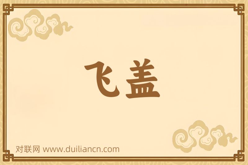 飞盖词语的意思