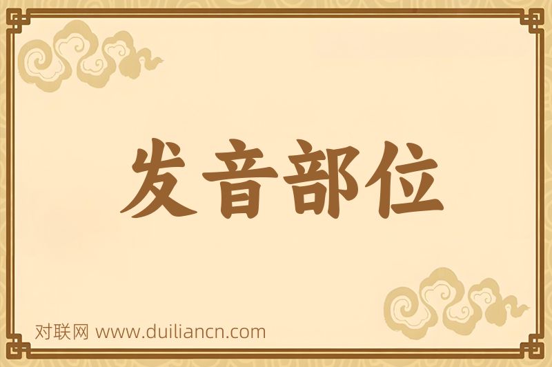 发音部位词语的意思
