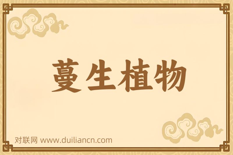 蔓生植物词语的意思