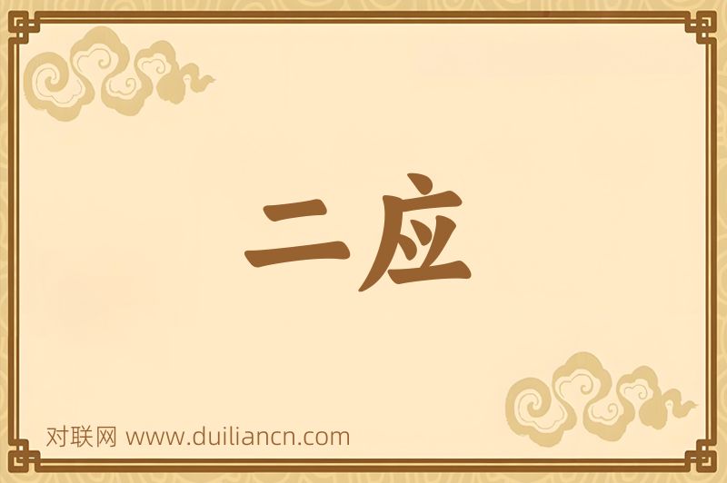 二应词语的意思