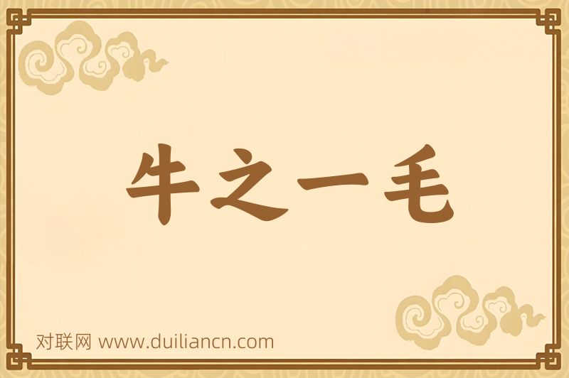 牛之一毛词语的意思