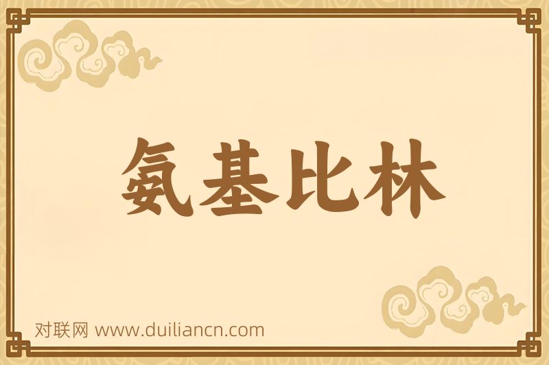 氨基比林词语的意思