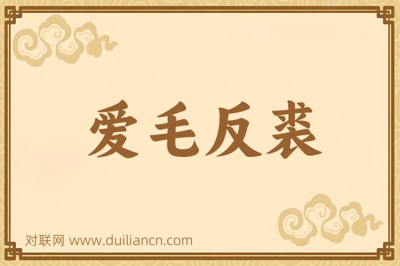爱毛反裘词语的意思