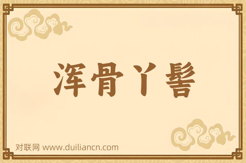 浑骨丫髻词语的意思
