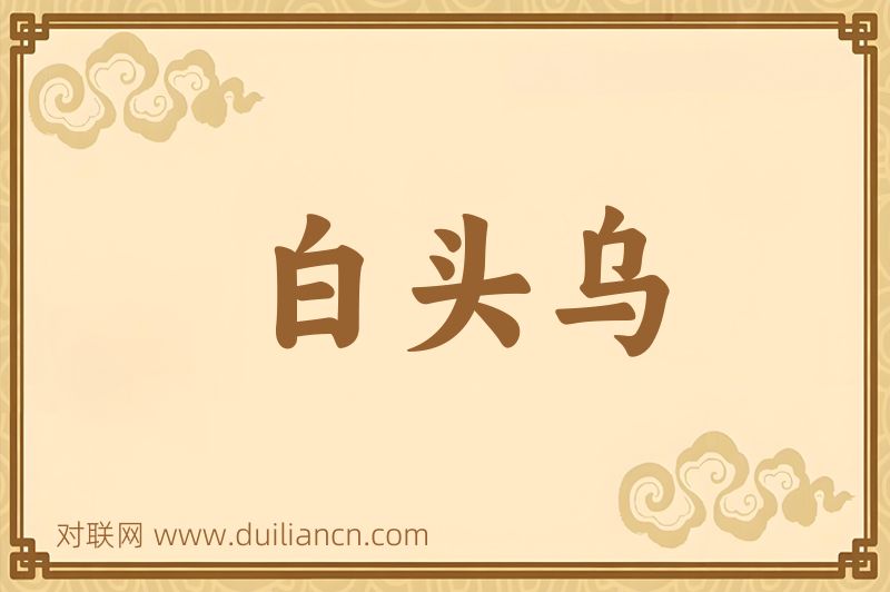 白头乌词语的意思
