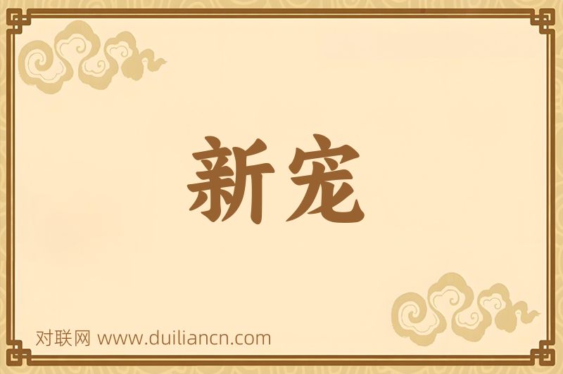 新宠词语的意思