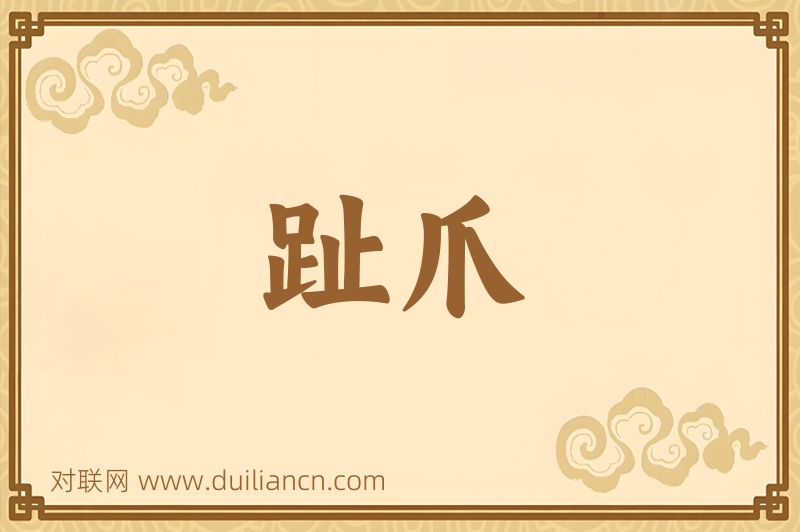 趾爪词语的意思
