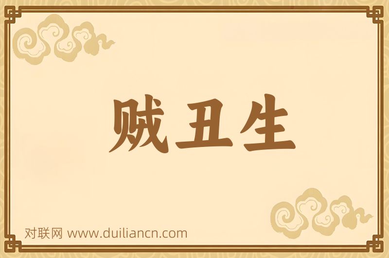 贼丑生词语的意思