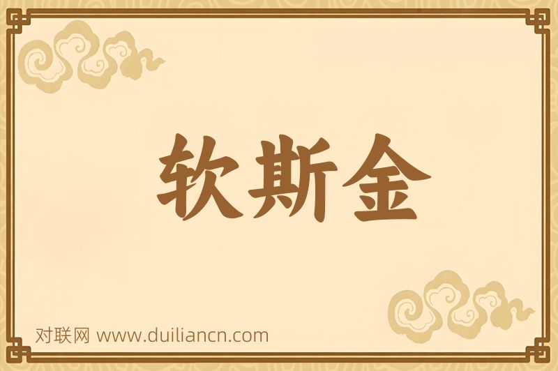 软斯金词语的意思