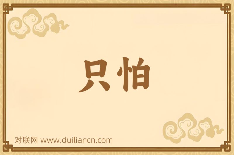 只怕词语的意思