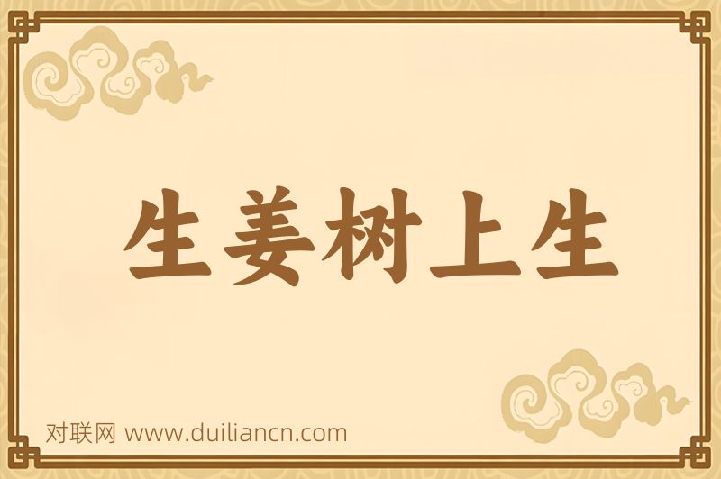 生姜树上生词语的意思