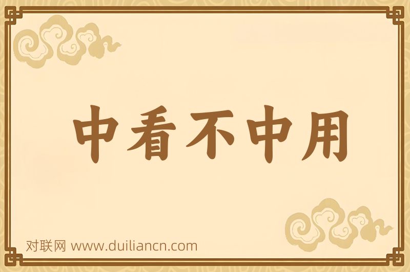 中看不中用词语的意思